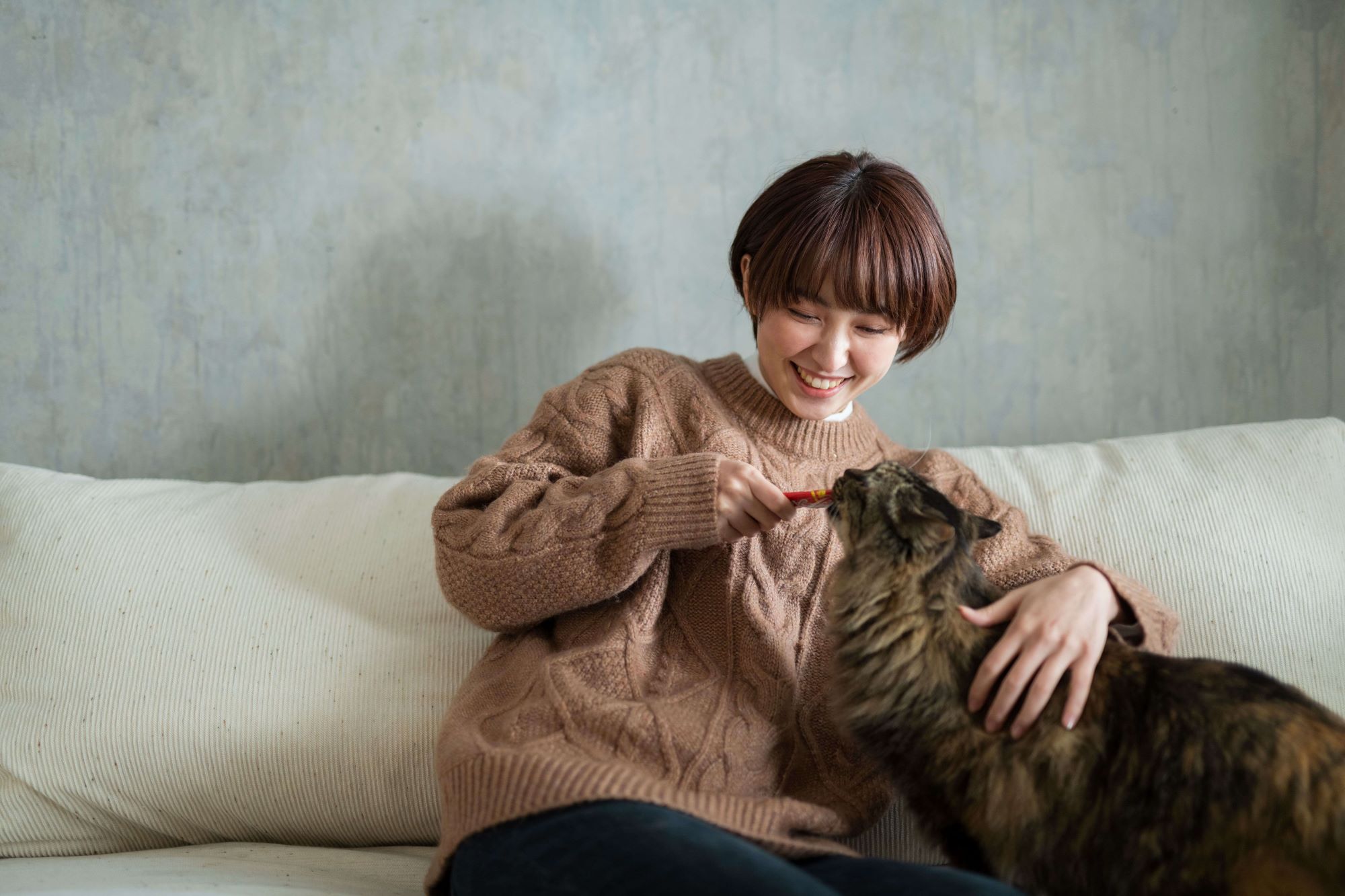 長毛種の猫に女性がおやつを上げている様子